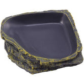 Reptile Food Dish Terrarium Water Bowl Food Feeding Plate